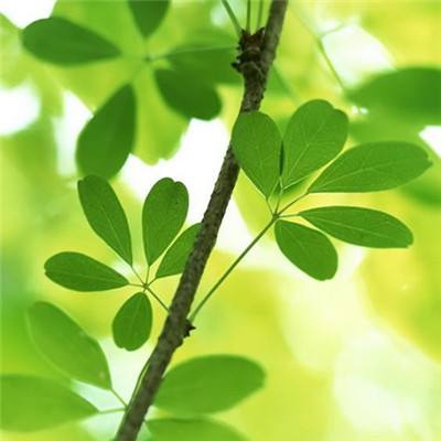 pg麻将胡了下载